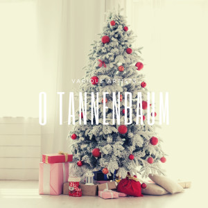 收听Berliner Motettenchor的O Tannenbaum (Berliner Motettenchor Version)歌词歌曲