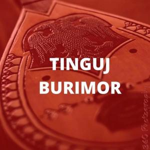 ดาวน์โหลดและฟังเพลง Po perzihet Prizreni พร้อมเนื้อเพลงจาก Isë Llapqeva