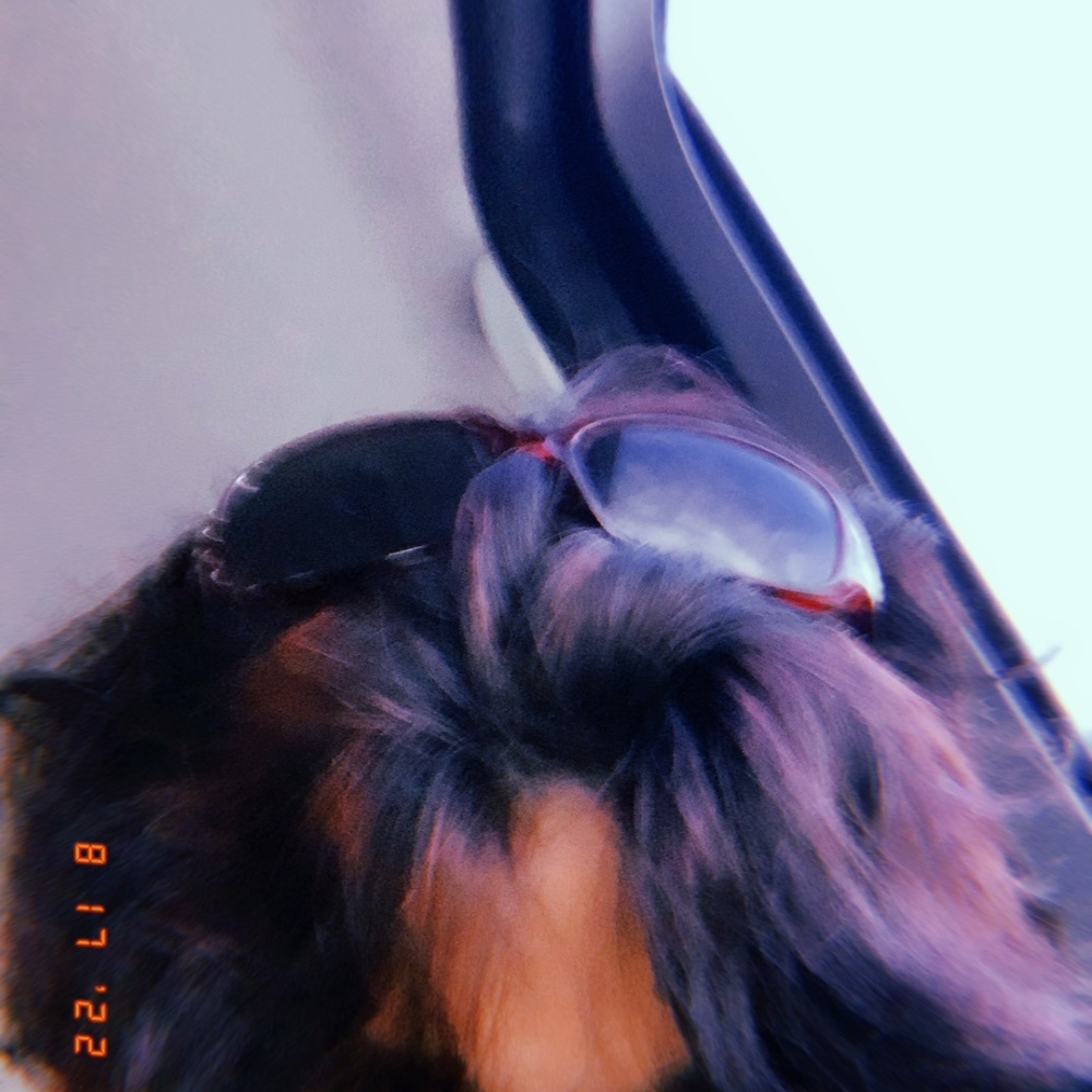 M$mTCH++* (Explicit)