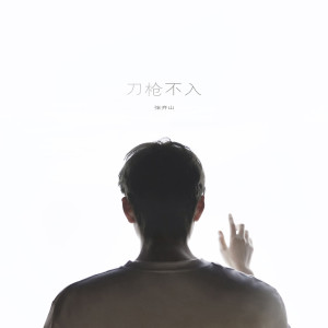 Listen to 刀枪不入 song with lyrics from 张齐山DanieL
