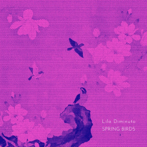 Dengarkan lagu Spring Birds nyanyian Lila Diminuto dengan lirik