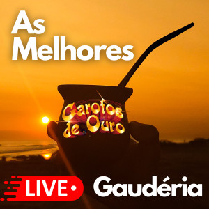 Garotos de Ouro的專輯As Melhores Garotos de Ouro (Live Gaudéria)