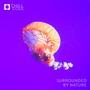 收听Chill Cole的Surrounded by Nature歌词歌曲