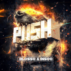 ดาวน์โหลดและฟังเพลง Push (VIP Hardstyle Mix) พร้อมเนื้อเพลงจาก Blosso
