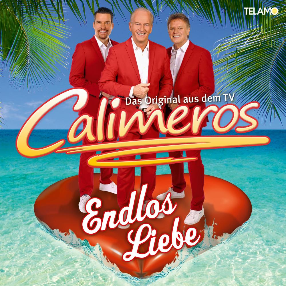 Endlos Liebe (Hitmix)