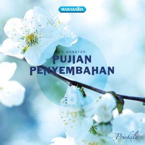 Priskila的专辑Pujian Penyembahan, Vol. 6