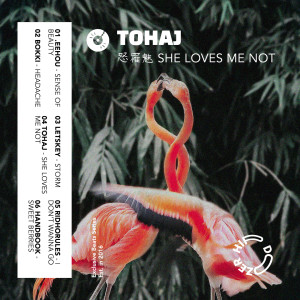 ดาวน์โหลดและฟังเพลง She Loves Me Not พร้อมเนื้อเพลงจาก Tohaj