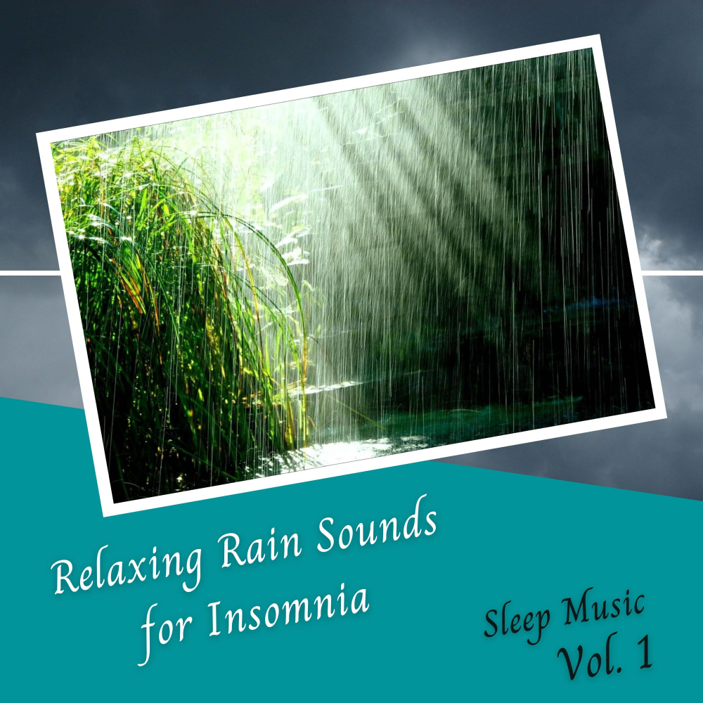 Nightfall in the Rain for Cats