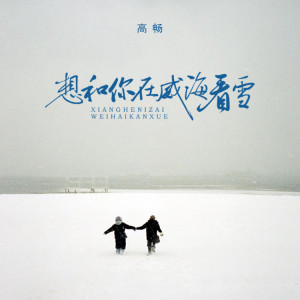 收聽高暢的想和你在威海看雪 (伴奏)歌詞歌曲