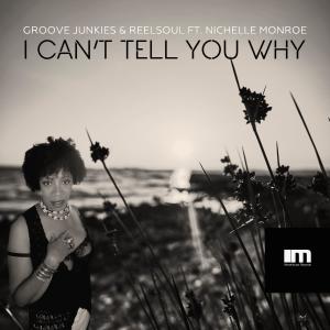 收聽Groove Junkies的I Can't Tell You Why (Groove n' Soul Long Run Reprise)歌詞歌曲