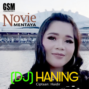 Novie Mentaya的專輯DJ-Haning