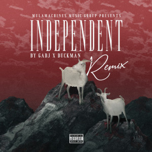 Album Independent (Remix) (Explicit) from Gadj