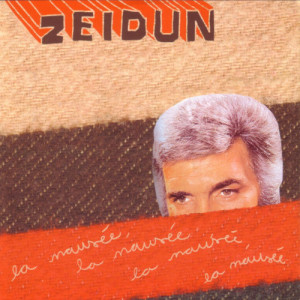 收聽Zeidun的Burn The City歌詞歌曲