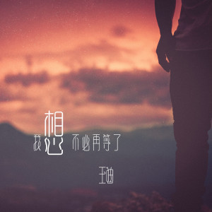 Listen to 我想不必再等了 song with lyrics from 王迪（内地歌手）