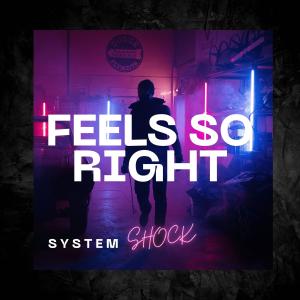 Listen to Feels So Right song with lyrics from System Shock