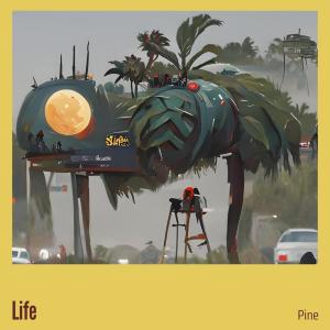 Pine的專輯Life