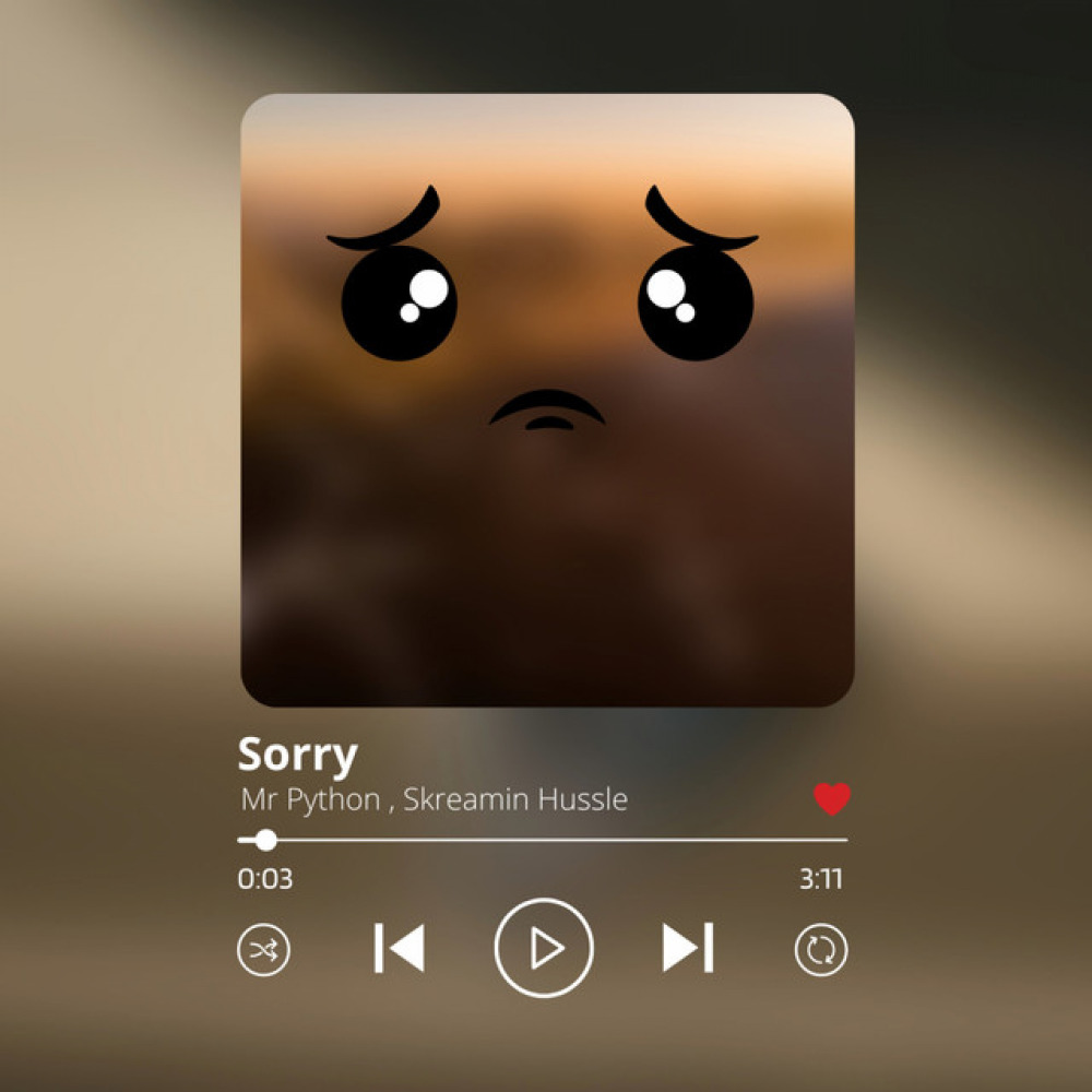Sorry (feat. Skreamin Hussle) (Radio Edit)