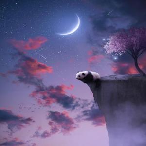 Listen to WYD Now ?? (Mai Rang Shabarton) (With Zehra) song with lyrics from Everybody Loves Josh