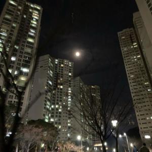 收聽zackwarrior的I'm okay歌詞歌曲