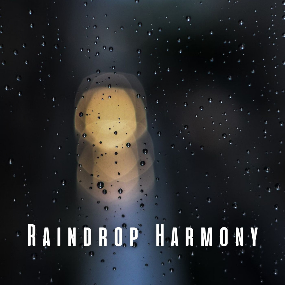 Purrfect Rainy Harmony