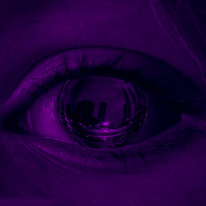 Listen to Interest song with lyrics from City Of The Fallen