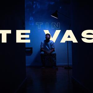 Album TE VAS (Explicit) from Tin