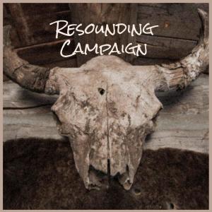 Dengarkan lagu Resounding Campaign nyanyian Jary Loke dengan lirik