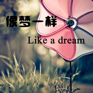 劉惠瓊的專輯像夢一樣