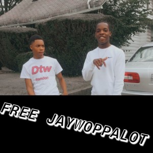 DTW Ron Don的專輯Free Jaywoppalot (Explicit)