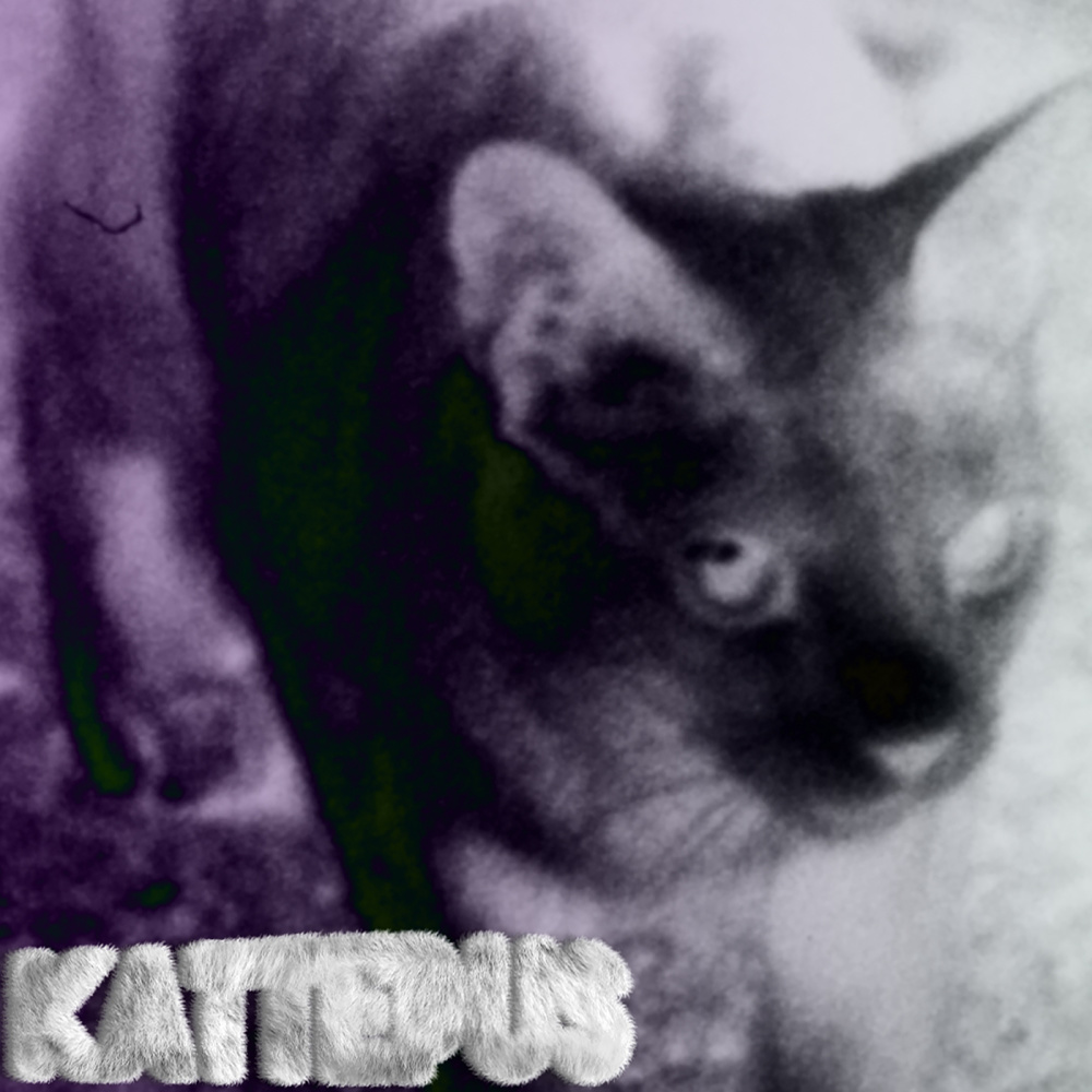 Kattepus (Explicit)