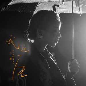 ดาวน์โหลดและฟังเพลง 我这一生 (伴奏) พร้อมเนื้อเพลงจาก 小曼
