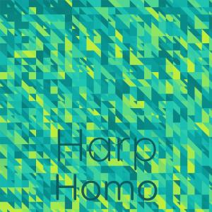 Listen to Scorching Casual song with lyrics from Slah Frag