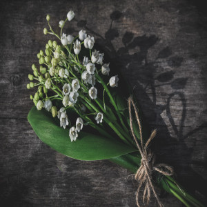 Dengarkan Lily Of The Valley lagu dari Red db dengan lirik