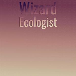 Various Artists的專輯Wizard Ecologist