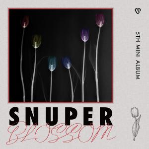 Album BLOSSOM from 스누퍼