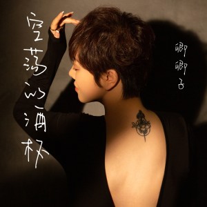 Listen to 空荡的酒杯 (伴奏) song with lyrics from 卿卿子