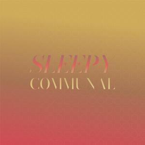 Various的专辑Sleepy Communal