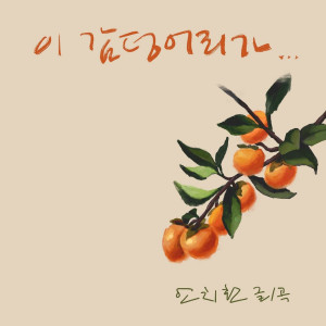 安致煥的專輯이 감덩어리가…