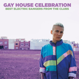 Various Artists的專輯Gay House Celebration