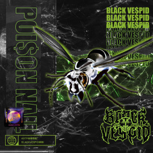 Album POI$ON NAIL (Explicit) from BLACK VE$PID