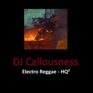 DJ Callousness的专辑Electro Reggae - Hq²