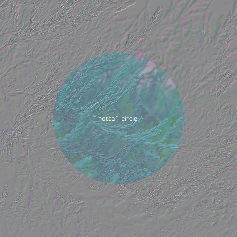 Circle