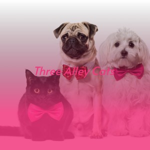Listen to Tell Me Why You Like Roosevelt song with lyrics from Mckinley Peebles