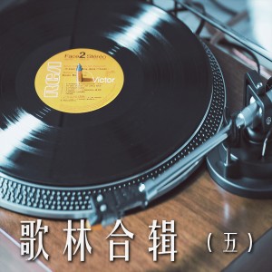 อัลบัม 歌林合辑5 ศิลปิน 林文隆