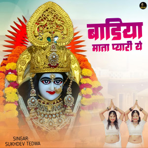 Album Badiya Mata Pyari Ye from Sukhdev Tedwa