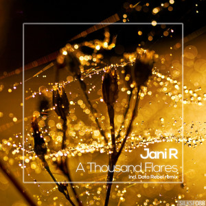 Listen to A Thousand Flares (Data Rebel Remix) song with lyrics from Jani R