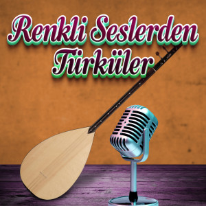 Listen to Asker Oldum Piyade song with lyrics from Yaşar Özel