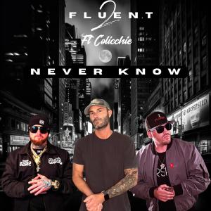 2 Fluent的專輯Never Know