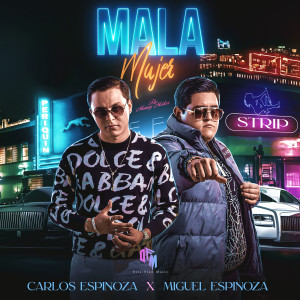 Listen to Mala Mujer song with lyrics from Carlos Espinoza