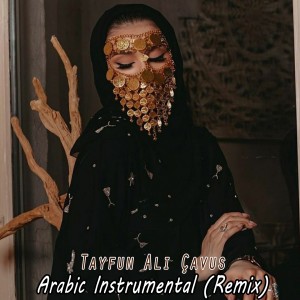 Tayfun Ali Çavuş的专辑Arabic Instrumental (Remix)